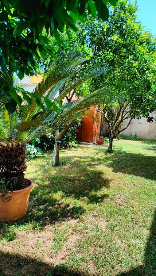 Greenhouse_Anzio Exterior foto